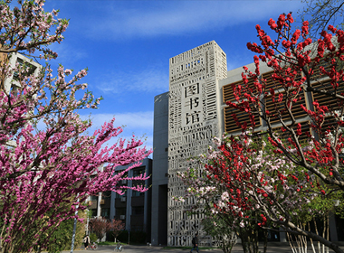 语言类大学